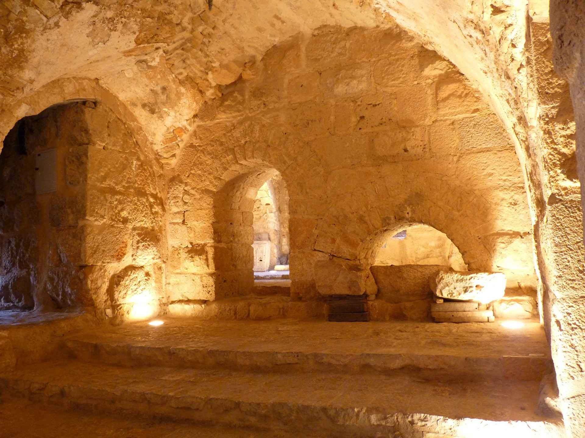 Amman, Umm Qais, Jerash and Ajloun Day Tour; Jordan tourism; Amman City; Citadel of Amman; Roman Theatre; Umm Qais; Gadara; Greco-Roman ruins; Decapolis cities; Jerash; Ancient Gerasa; Forum; Temple of Artemis; Arch of Hadrian; Ajloun Castle; Qalaat Ar-Rabad; Ajloun Forest Reserve; Birdwatching; Hiking in Jordan; Jordanian culture; Jordan Valley; Jordanian traditional crafts; Jordanian cuisine; day tours from Amman; historical sites; archaeological wonders; Jordan attractions; guided tours; private tours; group tours; family-friendly activities