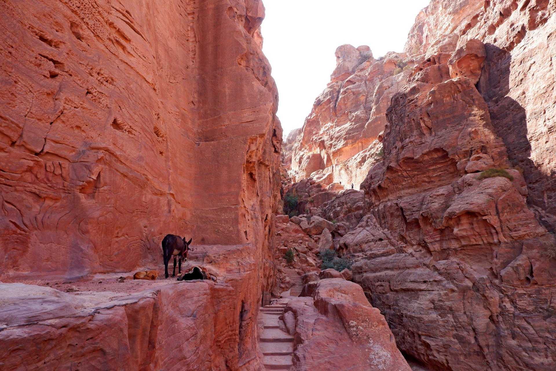 Via Jordan Travel & Tours; Sinai; Prophet Moses; Saint Catherine; Saudi Arabia; NEOM; Tabuk; Moses well; Maghaer; Shoaib; Madaba; nebo; Jerusalem; Church of the Holy Sepulchre; Aqsa; Eilat; Israel; Jabal; Baker; Sor; Hummeimeh; Khubat; Rahmeh; Wadi; Arab; Fidan; Rakya; Sand; Dunes; Madaba, Nebo; Jerash; Ajloon; ajloun; free; mud; little Petra; Dana; Madaba; Nebo; KSA; Saudi Arabia:; Wadi; Rum; dunes; desert: sand; rock; bridge; hot; springs; ma'in; dead; sea; floating; red sea; Aqaba; Citadel; Temple of Hercules, the Umayyad Palace, Archaeological Museum, Roman Theater; As-Salt; Dead Sea; floating; Madaba; Mount Nebo; Ma'in; Hot Springs; Madaba; Karak Castle; Crusaders; Mukawer; Mukawir; Machaerus; Solomea; John the Baptist; Antipas; Jerash; snorkeling; diving; salty beach. hot; waterfall; turtle; float; floating, Eilat; Israel; Aquarium; Jabal; Baqer; Sor; Humeimeh; Wadi Aheimir; Khubat; Wadi Rahmeh; Wadi Rakya; Umm Ar – Rasas; Qusayr Amra; Qasr al-Azraq Qasr al-Azraq; Desert Castles; Monastery; Aqaba; Citadel; Jerash; Wadi Hamra; Wadi Ghweir; Little Petra; the Monastery; Ad-Deir; private tour; Al Madras Secret Road; Ein Es Saada; Aqaba; city; Red Sea; diving; snorkeling;The Monastery; Little Petra;