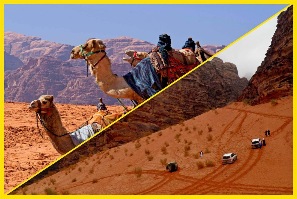 half day tour; wadi rum; via jordan travel & tours; desert tour; jordan tour; jordan travel; wadi rum tour; via jordan; desert experience; wadi rum travel; half day excursion; guided tour; desert adventure; rock formations; wadi rum desert; bedouin culture; jordan desert; sand dunes; camel ride; jeep tour; archaeological sites; petra tour; middle east travel; jordanian experience; explore jordan; desert landscape; travel agency; cultural experience; adventure tour; outdoor activities; jordan vacation; visit jordan; jordan attractions; travel itinerary; desert camping; nature tour; historical sites; travel package; vacation in jordan; bucket list destination; unique experiences; local guide; outdoor exploration; desert wonders; off-road tour; scenic beauty; sandstone cliffs; rugged terrain; sunset views; stargazing tour; group tour; private tour; tailor-made tour; sightseeing tour; authentic experience; unforgettable memories; travel destination; natural wonders; day trip; holiday in jordan; exploring jordan; jordan adventure; tailor-made experience; local cuisine; hot air balloon ride; hiking tour.