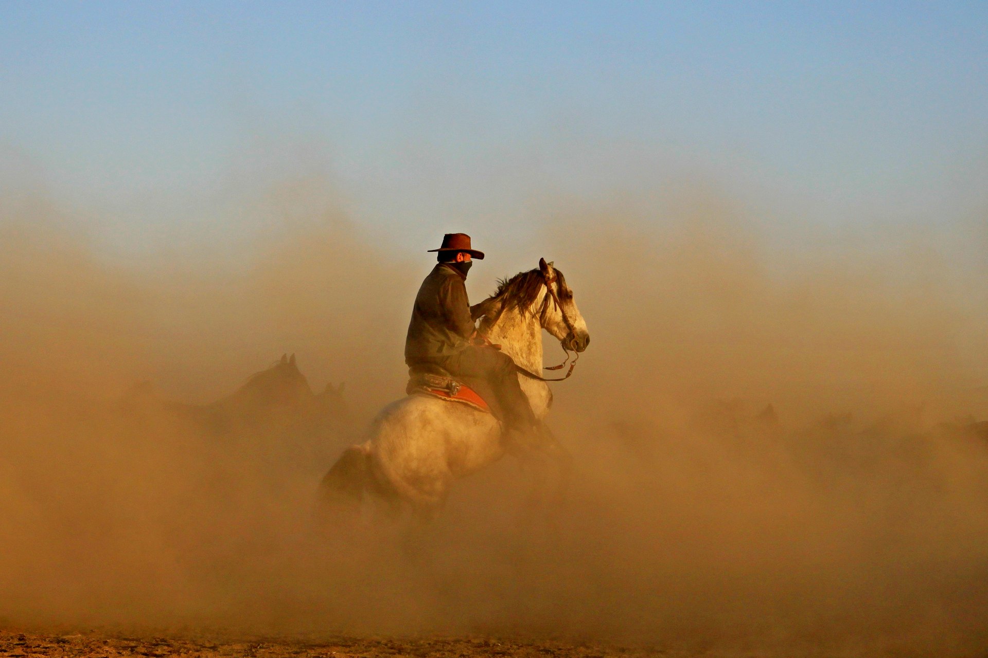 horse riding adventure; wadi rum desert; jordan; group; individual; via jordan travel & tours; company; guided tours; desert adventure; horseback riding; scenic views; outdoor activities; bespoke experience; professional guides; desert landscapes; riding experience; Arabian horses; tour packages; unforgettable journey; experienced riders; beginners; adventure seekers; bucket list experience; travel enthusiasts; interactive tours; cultural experience; authentic experience; horse trekking; desert exploration; private tours; personalized itinerary; local insights; historical sites; diverse terrain; Arabian culture; adventure vacations; family-friendly activities; equestrian adventure opportunities; guided excursions; tranquil experience; natural beauty; sunset views; sunrise rides; horse riding skills; summer tours; winter tours; flexible schedules; safety measures; adventure travel; wilderness experience; horse lovers; travel packages; tailor-made excursions; off-the-beaten-path; vacation ideas; adventure holidays; adventure tourism; horse rental services; English-speaking guides; eco-tourism; sustainable tourism; group discounts; individual packages; outdoor enthusiasts; skilled riders; horse care; cultural immersion; horse whisperers; horse bonding experience; local cuisine tasting; desert camping; star-gazing nights; inclusive packages.