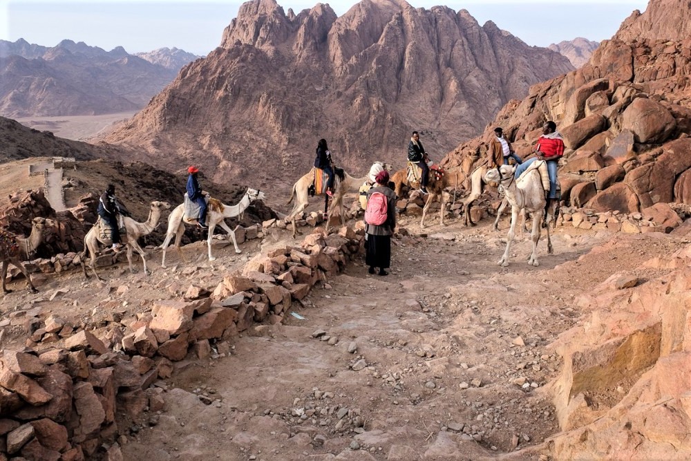 sinai mountain egypt tour; via jordan travel; tours company; sinai mountain tour; egypt tour; via jordan tours; sinai mountain egypt; via jordan travel and tours; egypt mountain tour; sinai mountain via jordan; egypt tour via jordan travel; sinai mountain travel; sinai mountain tours; via jordan travel tours; sinai mountain egypt travel; via jordan tours company; egypt tour via jordan; sinai mountain tour company; sinai mountain egypt tour company; egypt travel via jordan; sinai mountain in egypt tour; via jordan travel company; sinai mountain egypt tour via jordan travel tours; sinai mountain egyptian tour; egypt tour via jordan tours; via jordan travel and tours company; sinai mountain egypt tour via jordan; via jordan travel tours company; tour of sinai mountain in egypt; sinai mountain in egypt via jordan; egypt tour by via jordan travel; sinai mountain egypt travel tours; via jordan travel and tours company; tour to sinai mountain egypt; via jordan tours company sinai mountain tour; egyptian tour via jordan travel; sinai mountain egyptian tour via jordan; egypt tour provided by via jordan travel; sinai mountain in egypt tour by via jordan; via jordan tours sinai mountain; egypt mountain tour via jordan travel; sinai mountain travel via jordan; sinai mountain tours company; via jordan travel tours sinai mountain; sinai mountain egypt travel company; egypt tour via jordan travel and tours; sinai mountain in egypt tour via jordan travel; via jordan tours company for sinai mountain; tour company for sinai mountain in egypt; sinai mountain egypt tour by via jordan travel; sinai mountain egypt tour via jordan travel and tours; sinai mountain egyptian tour via jordan travel and tours; egypt tour by via jordan travel and tours; sinai mountain in egypt via jordan travel and tours; egypt tour provided by via jordan travel and tours; sinai mountain in egypt tour by via jordan travel and tours; tour to sinai mountain in egypt by via jordan travel; egypt tour via jordan travel and tours; sinai mountain travel via jordan travel and tours; sinai mountain tours company by via jordan travel; egyptian tour via jordan travel and tours; sinai mountain egyptian tour via jordan travel and tours; egypt tour provided by via jordan travel and tours company; sinai mountain in egypt tour by via jordan travel and tours company; sinai mountain in egypt via jordan travel and tours company; egypt tour by via jordan travel and tours company; sinai mountain egypt tour via jordan travel and tours company; sinai mountain egypt tour via jordan travel and tours company for Sinai mountain.