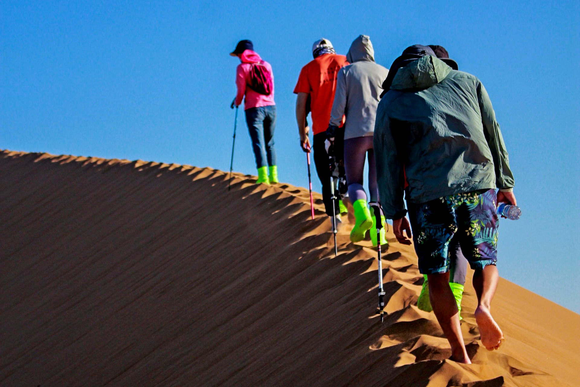 full day hiking tour; wadi rum; group hiking tour; individual hiking tour; via jordan travel & tours; guided hiking tour; desert hiking; hiking experience; outdoor adventure; hiking trail; jordan hiking tour; jordan travel; middle east hiking; rocky landscapes; desert exploration; jordanian desert; hiking excursion; jordan adventure; bucket list hiking; hiking vacation; scenic views; nature trekking; hiking destination; professional guide; off-the-beaten-path; adventure travel; middle eastern tour; mountain trek; local guide; ancient landscapes; desert flora; fauna spotting; rock formations; mountain ranges; outdoor activity; physical activity; immersive experience; unique landscapes; rugged terrain; adventure tour; travel itinerary; personalized tour; tailor-made hiking; skilled guides; expert hikers; outdoor enthusiast; nature lover; hiking challenge; jordanian culture; cultural experience; local cuisine; camping under the stars; night sky photography; sunrise hike; sunset views; extreme sports; hiking gear; safety precautions; hiking checklist; daypack essentials; hiking footwear; hydration pack; sun protection; first aid kit; emergency contact; travel insurance; explore jordan; jordan tourism; explore wadi rum; bedouin culture; desert camping; camping adventure; hiking photography; outdoor gear; wilderness experience; authentic jordan; ancient history; cultural heritage; sustainable travel; eco-friendly tour; responsible tourism; small group tour; private tour; group dynamics; team building; corporate retreat; wellness retreat; spiritual journey; self-discovery; personal growth; mental health; physical well-being; social connection; memorable experience; unforgettable adventure; trip of a lifetime.